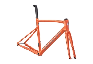 allez sprint frmset gloss cactus bloom/holographic foil 61