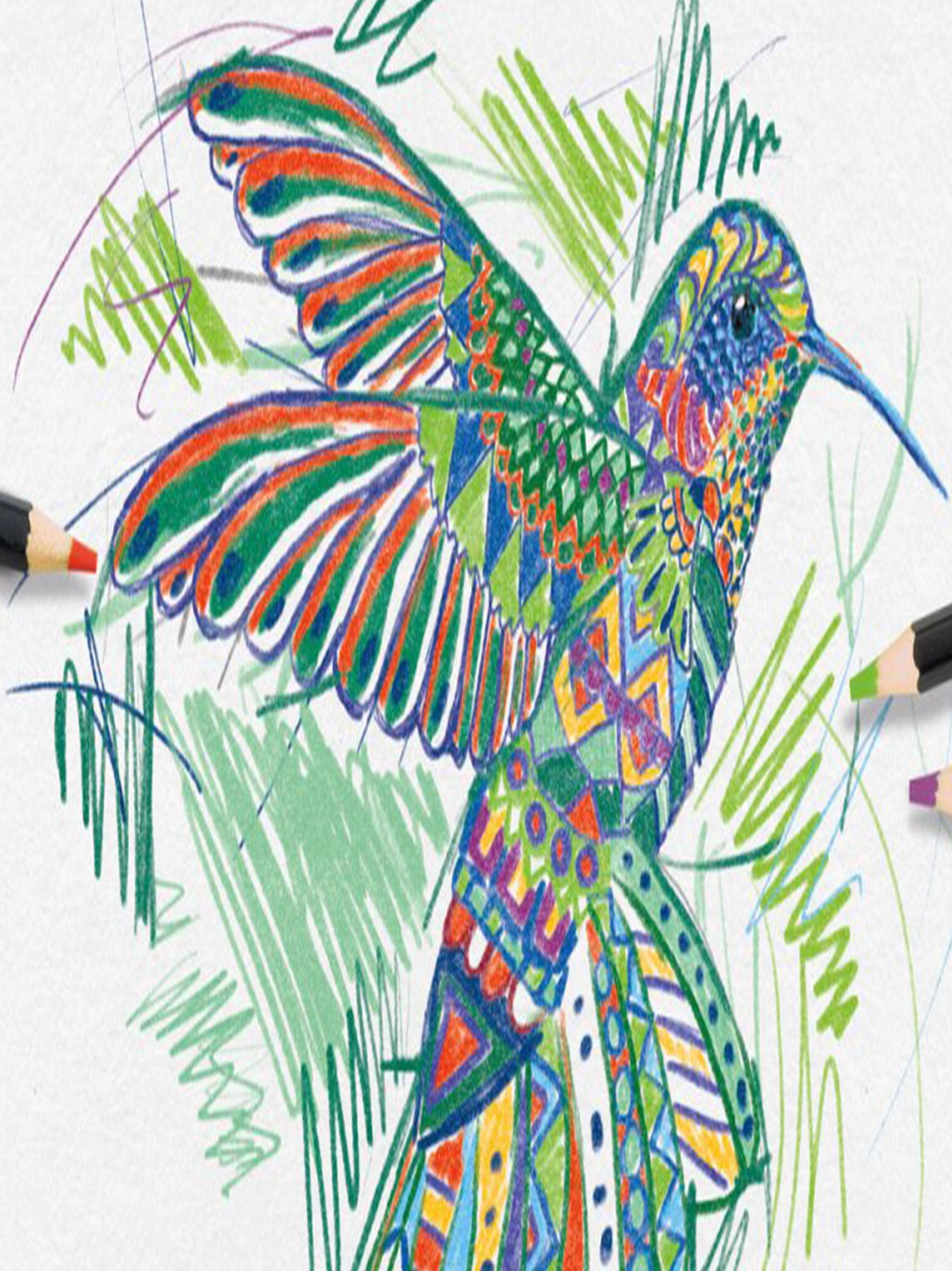 Artist Colored Pencils