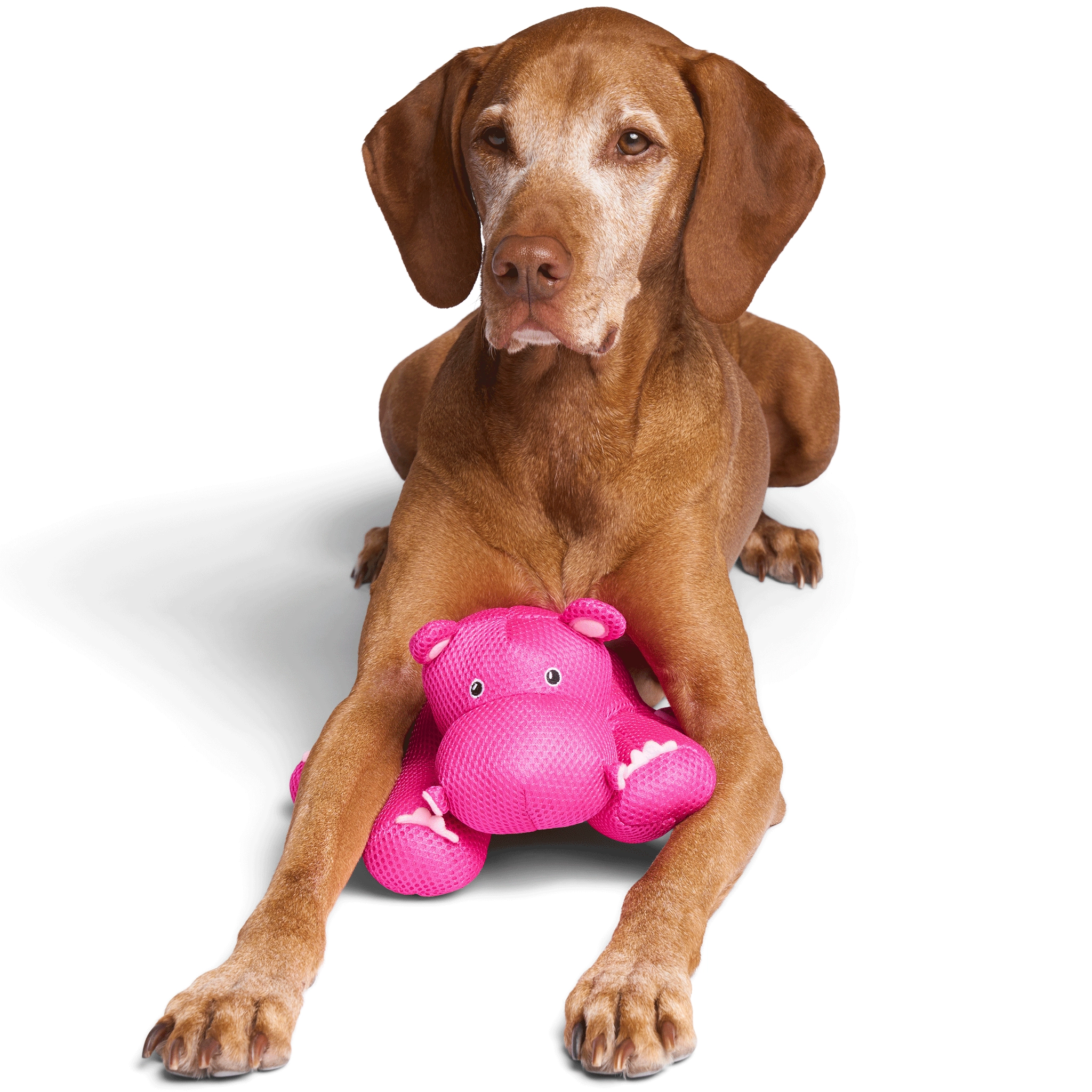 Canada Pooch Chill Seeker Toy Hippo Dog Toys