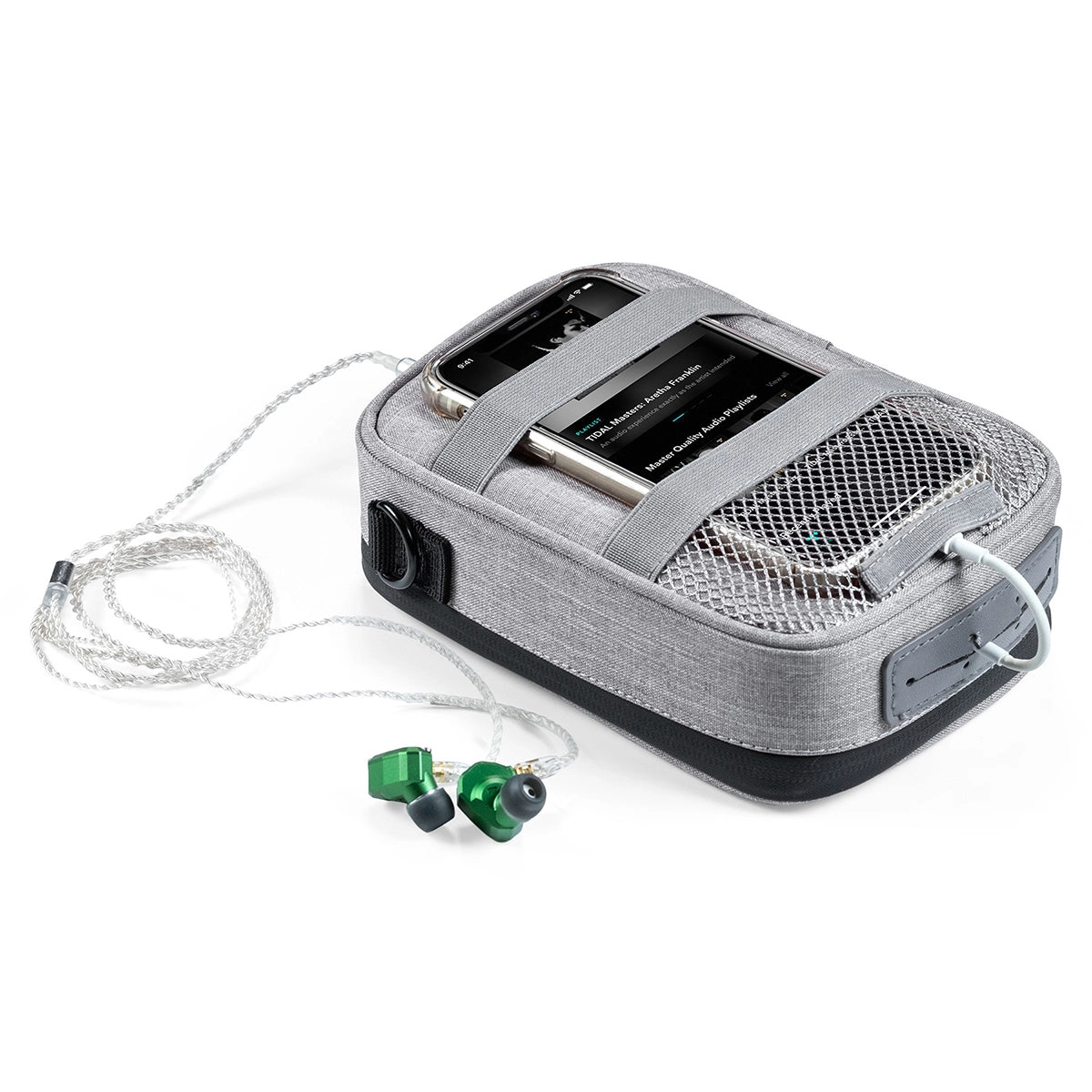 iFi iTraveller Multi-Purpose Travel Case
