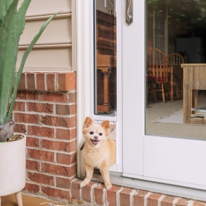 PetSafe® Sliding Glass Pet Door, 2-Piece, Large