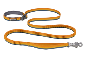 Ruffwear Roamer Bungee Dog Leash in Yellow Snow
